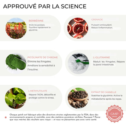 Patches GLP-1 Mincir Facilement